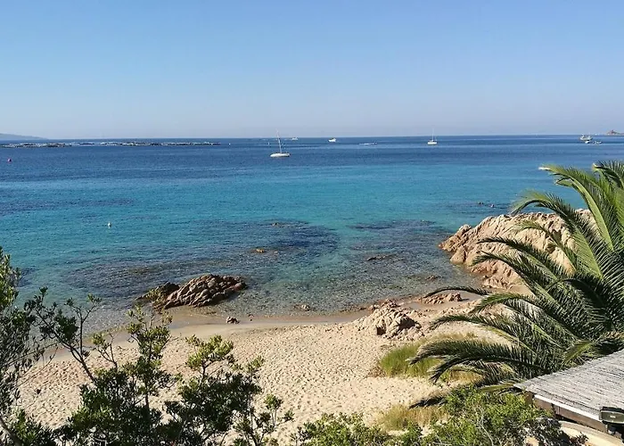 Vaiana Avec Piscine En Bord De * Ajaccio (Corsica)